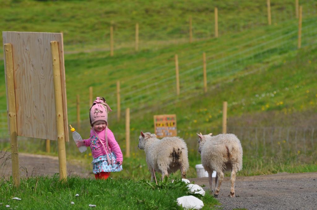 Stóra-Ásgeirsá Horse Farm Stay Vithigerthi Exterior foto